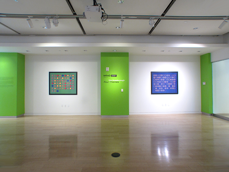 Four Themes at the Museum of the African Diaspora